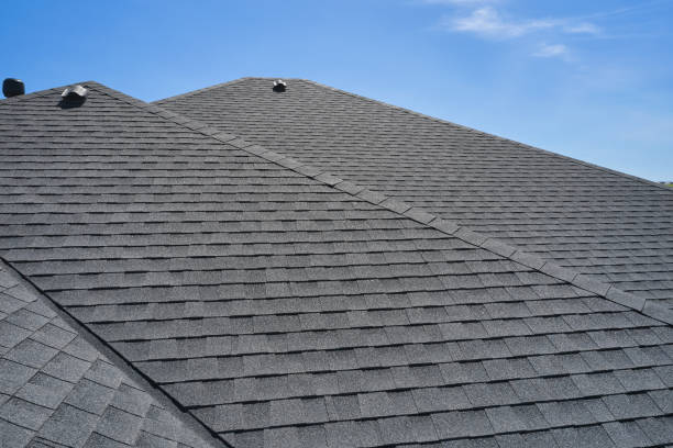 Best Roof Coating Services  in Negaunee, MI